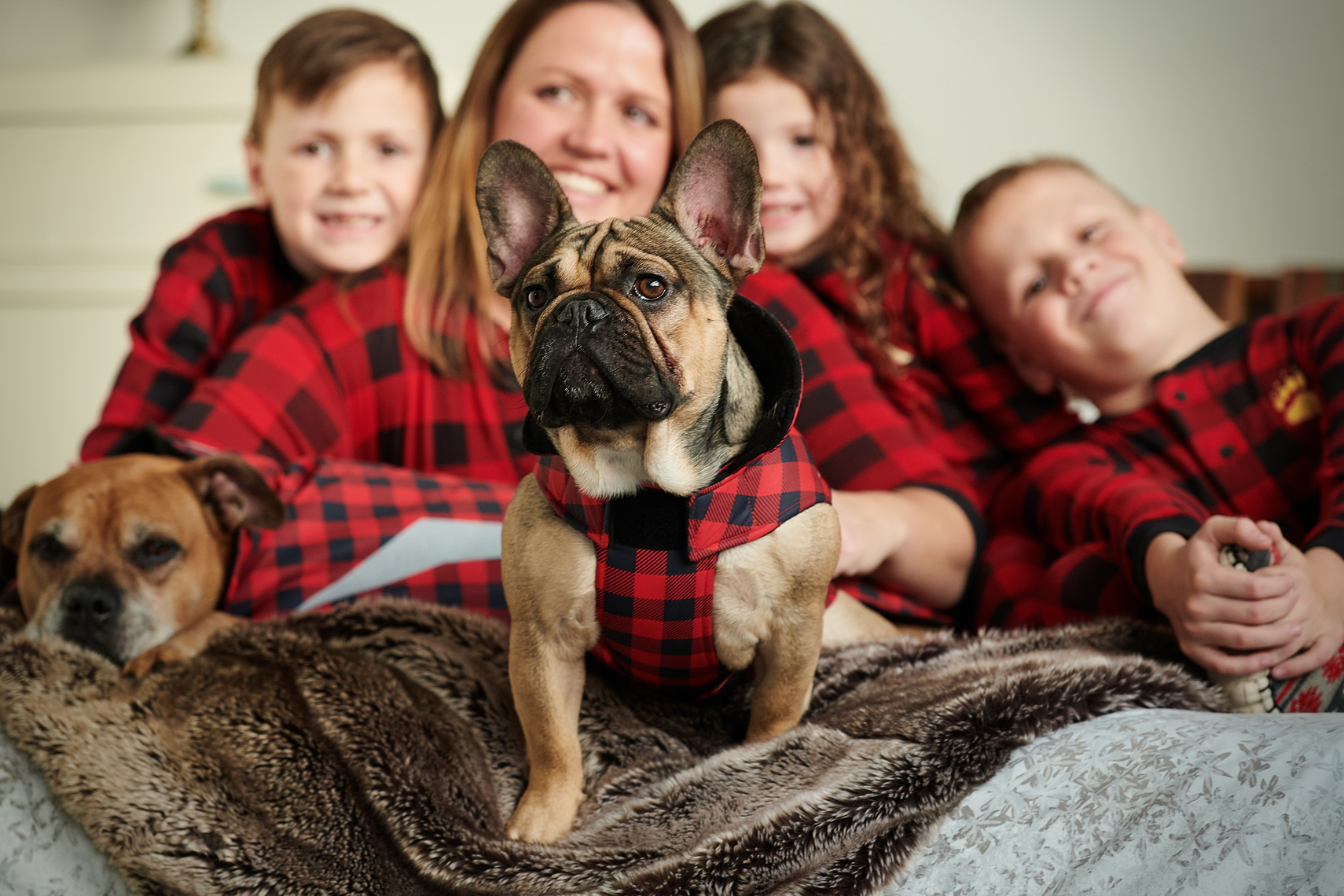 2017-Vancouver-Lifestyle-Photographer-ErichSaide-Advertising-RCPets-Canadian-FrenchBulldog
