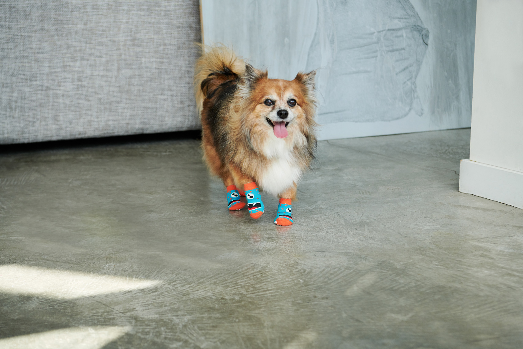 2018-Vancouver-Lifestyle-Photographer-ErichSaide-Advertising-RCPets-Summer-Bella-Booties