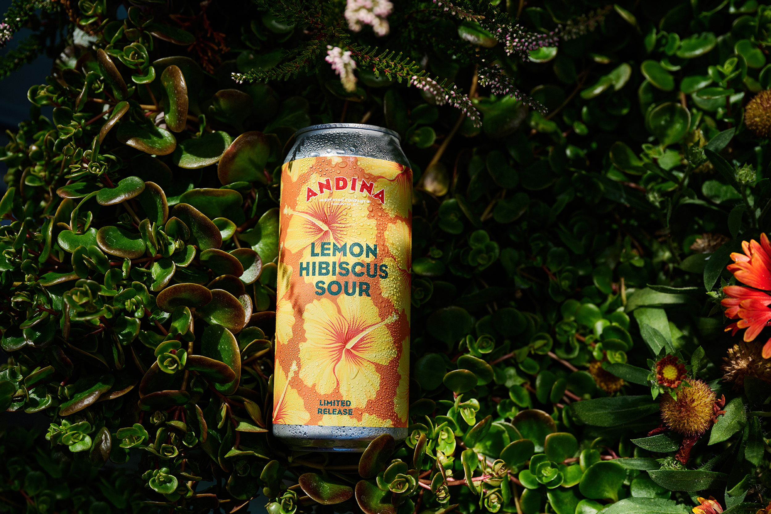 2022-Vancouver-Lifestyle-Photographer-ErichSaide-product-AndinaBrewingcompany-LemonHIBISCUSSOUR-0031